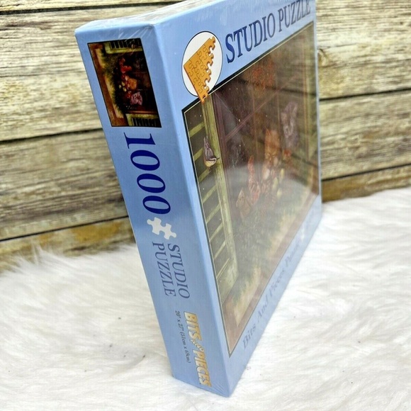 Window Watchers Studio Puzzle Bits And Pieces Kittens Giordano 1000 Pcs - Picture 2 of 7